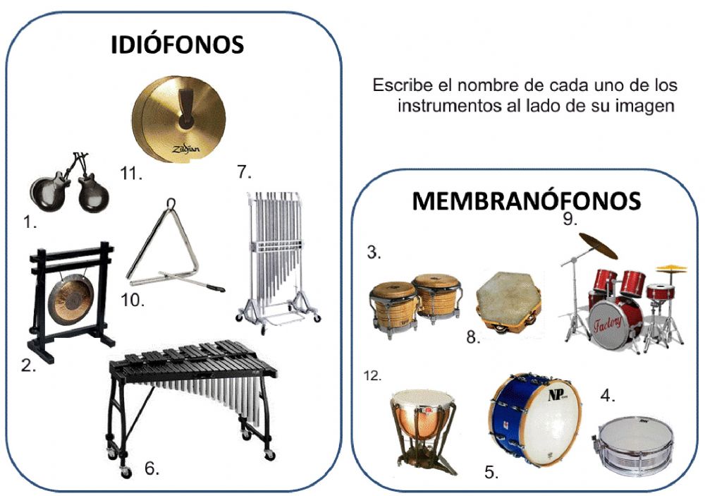 ▷ Idiófonos – Instrumentos de Percusión ¡Toda la clasificación!