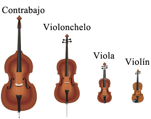contrabajo y violonchelo diferencias